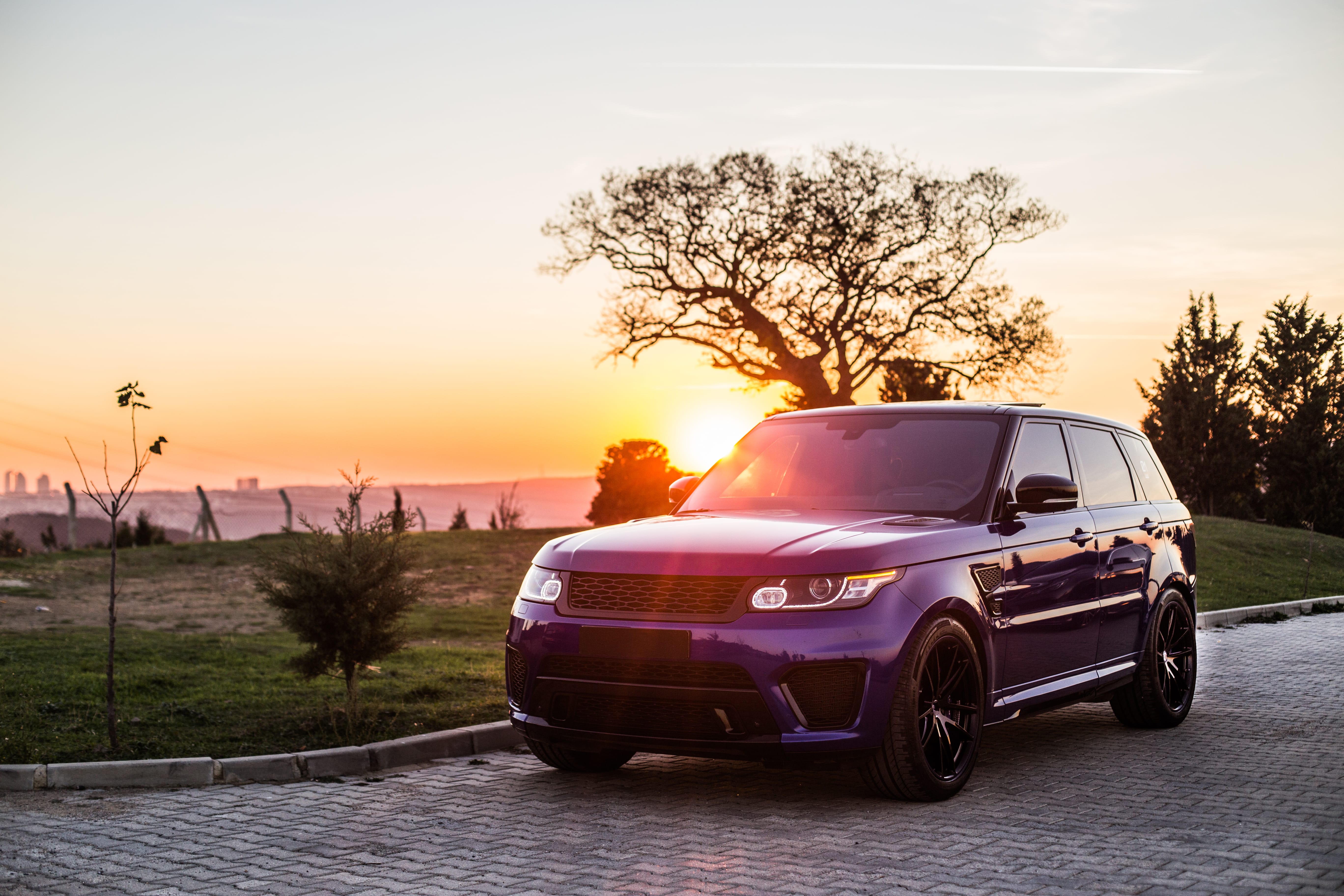 SUVs & Crossovers